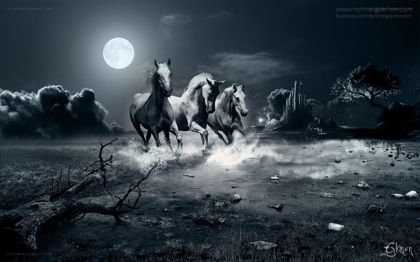 Horses galloping under moonlight