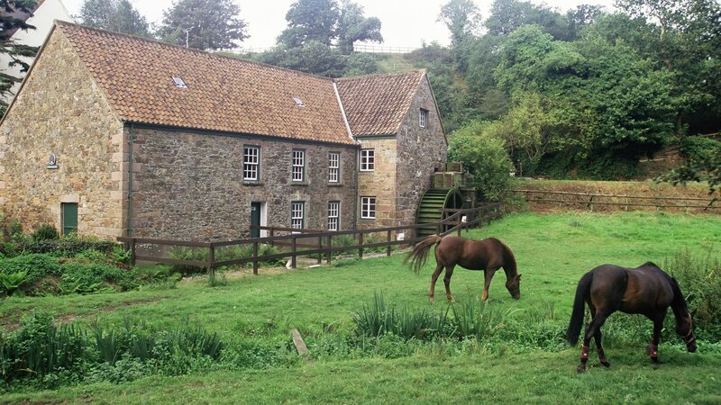 Horses grazing by a mill