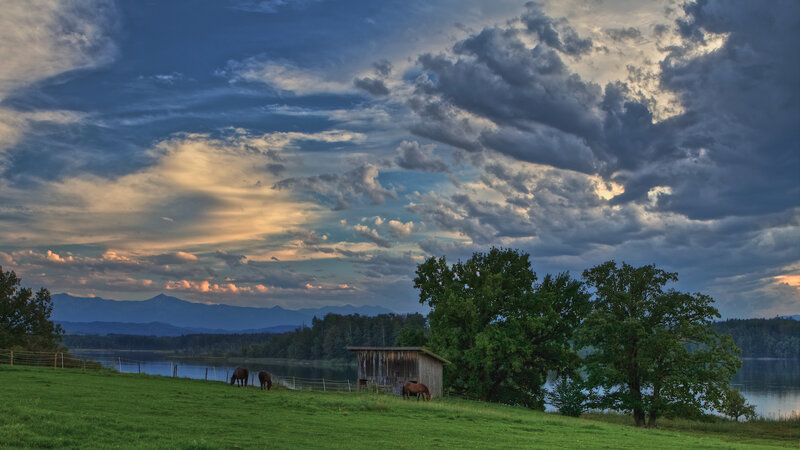 Horses Grazing by Lake — Green, Dramatic