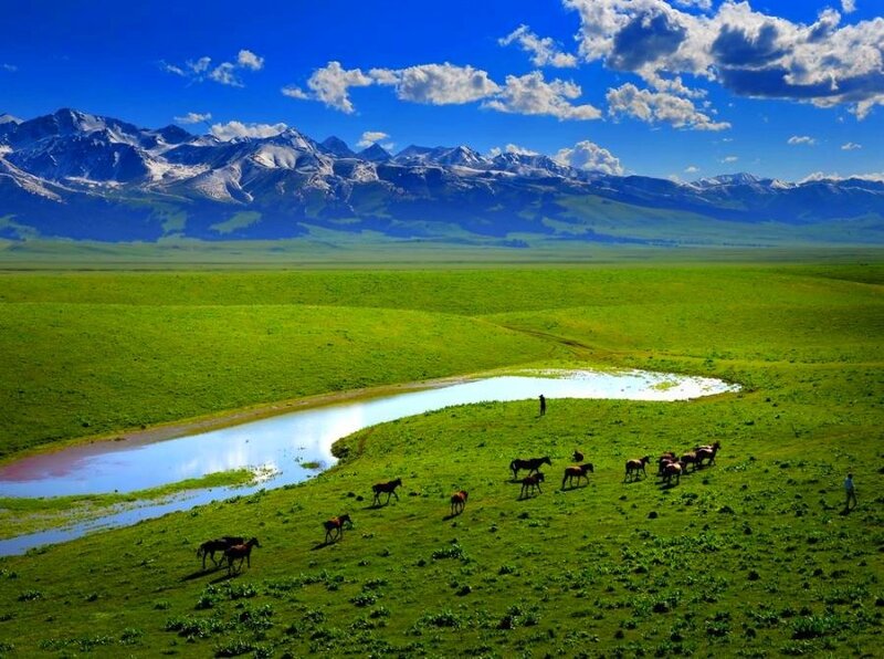 Horses grazing in a mountain valley