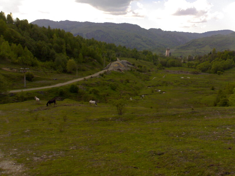 Horses grazing in a valley