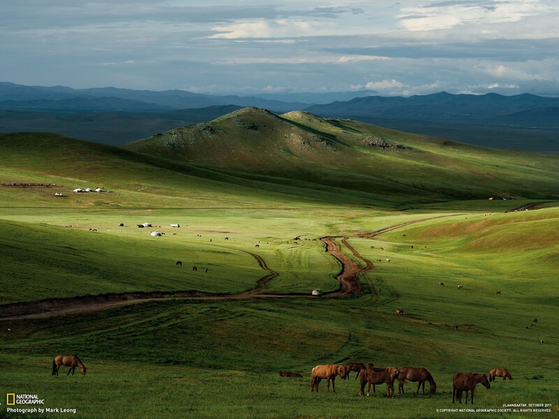 Horses Grazing in Field — Green, Serene, Afternoon, Photograph, Yurts, Mountains
