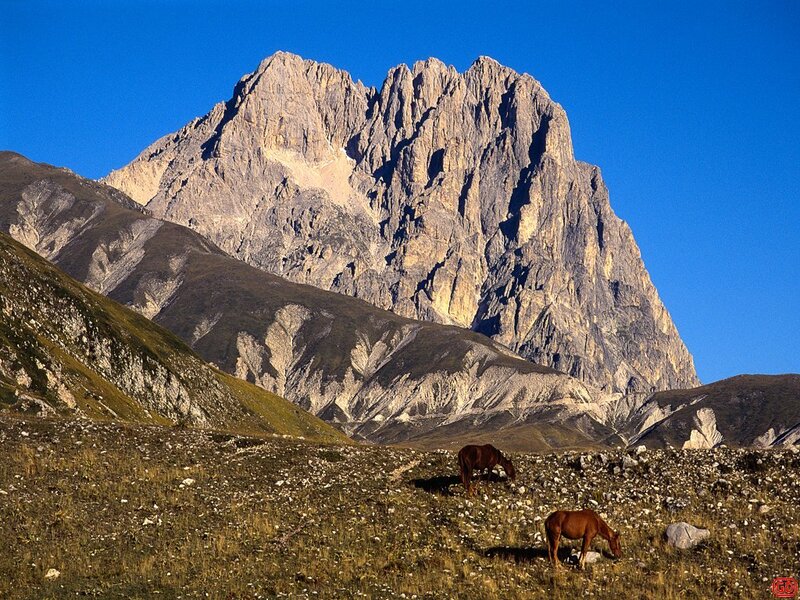 Horses grazing in mountain valley