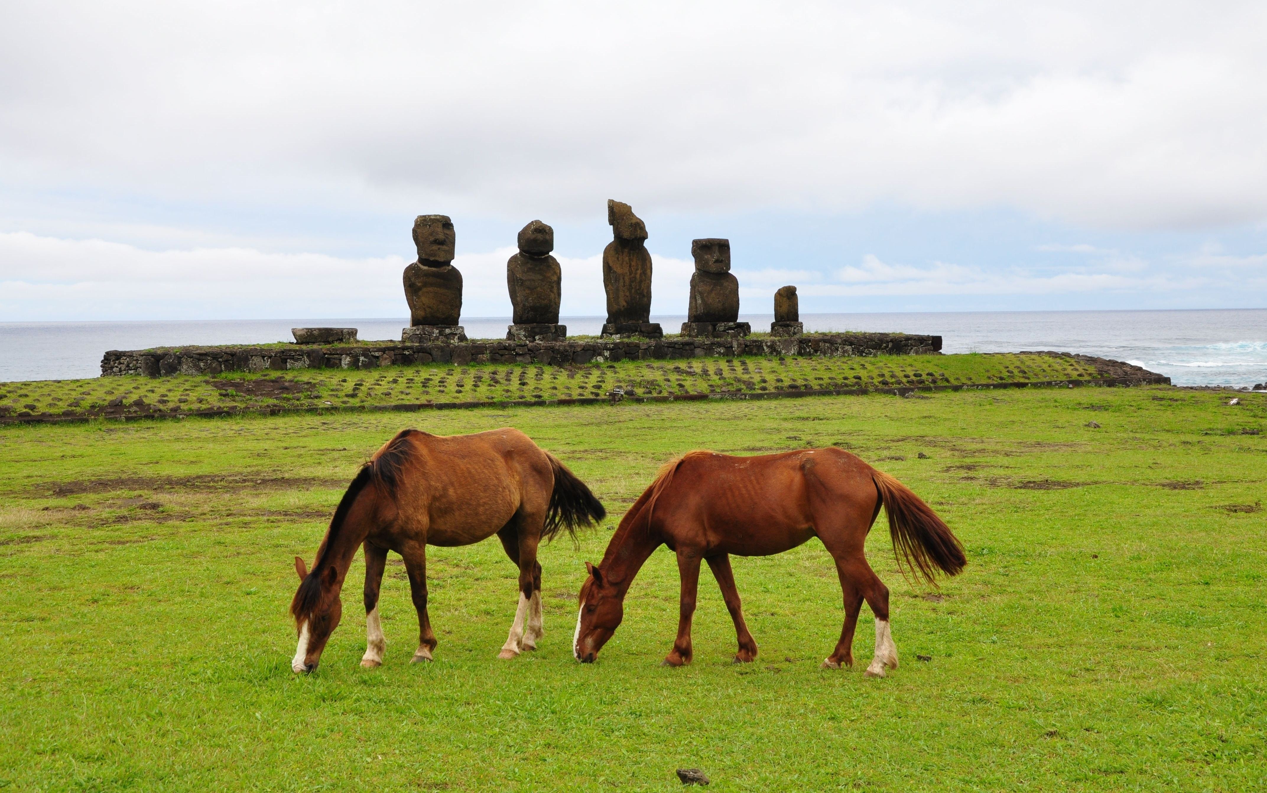 Horses grazing near moai statues