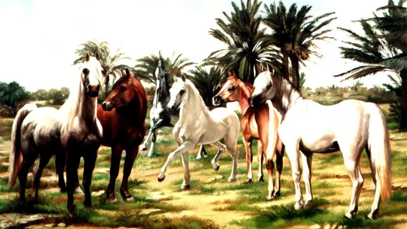 Horses in a Desert
