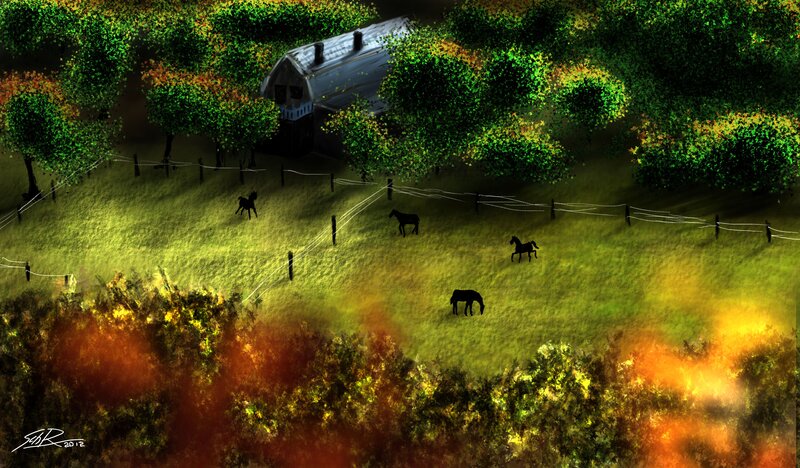 Horses in a fenced pasture