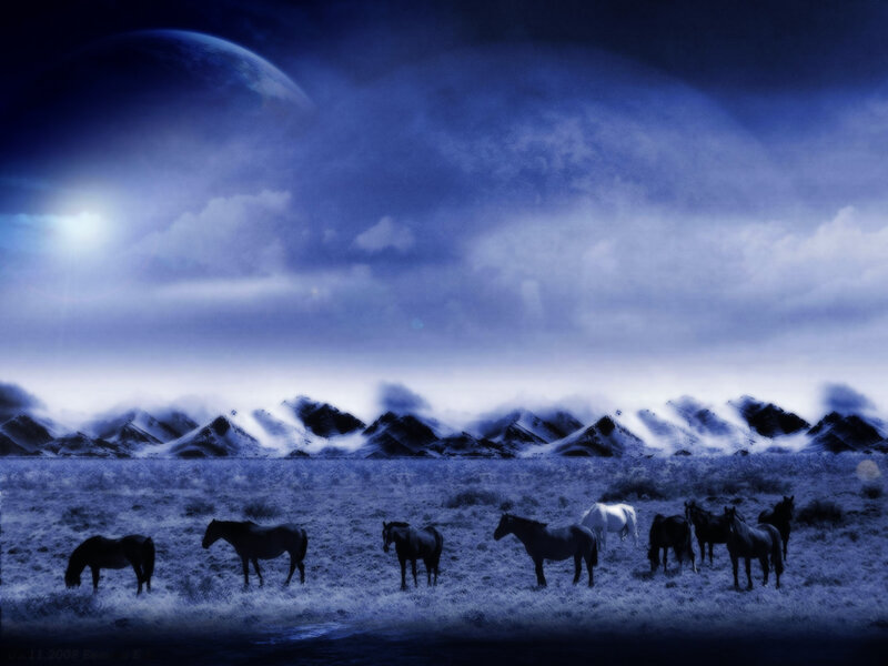Horses in a Field — Blue, Dramatic