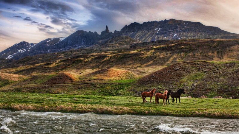 Horses in a Field — Green, Dramatic, Sunset, Photograph, Mountains, River