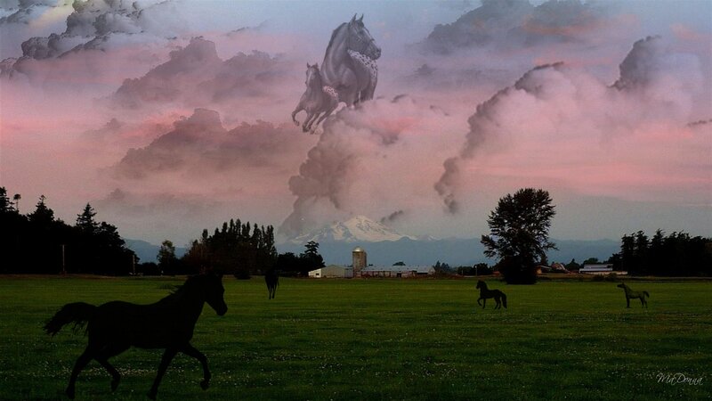 Horses in a Field — Green, Dramatic