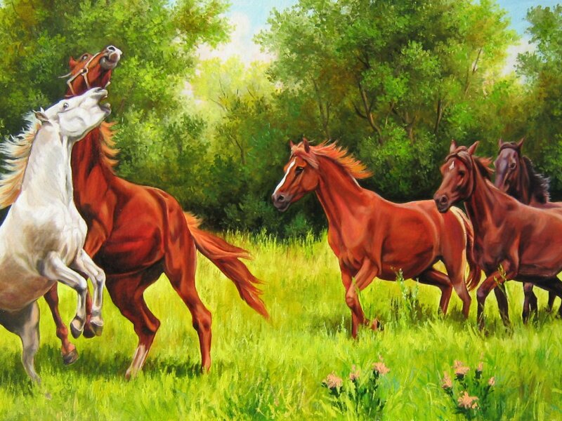 Horses in a Field — Green, Dynamic, Afternoon