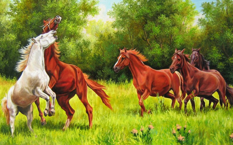 Horses in a Field — Green, Dynamic