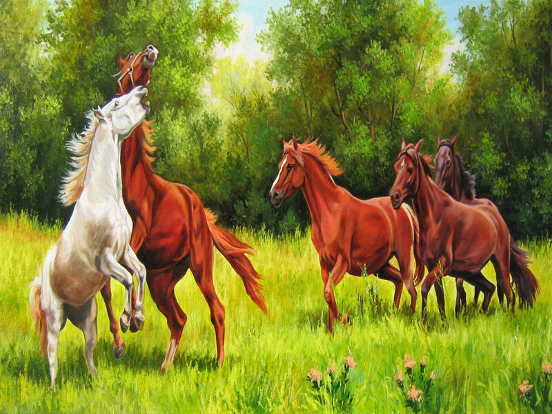 Horses in a Field — Green, Peaceful