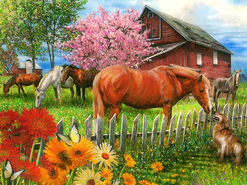 Horses in a Field — Green, Serene, Spring