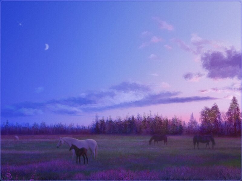 Horses in a Field — Purple, Serene, Night