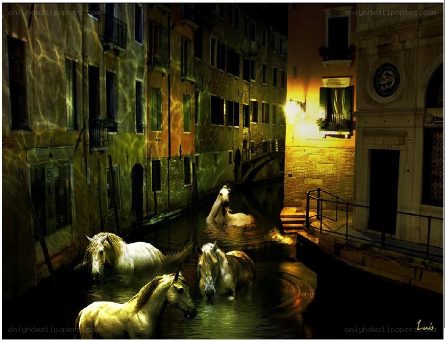 Horses in a flooded canal