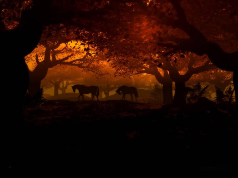 Horses in a forest at sunset