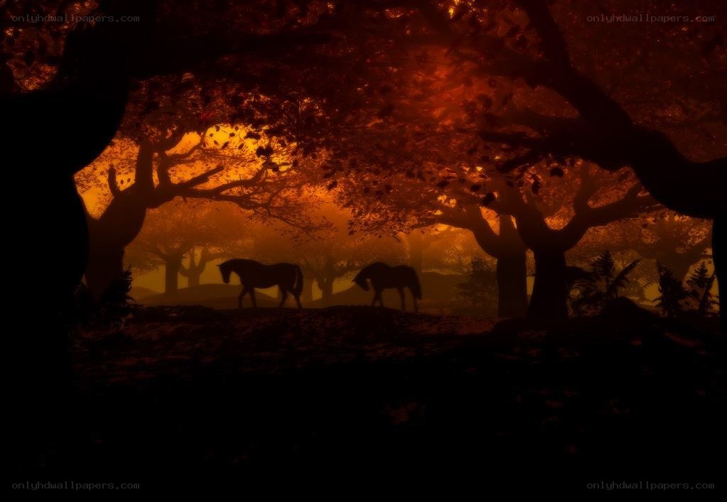 Horses in a forest at sunset