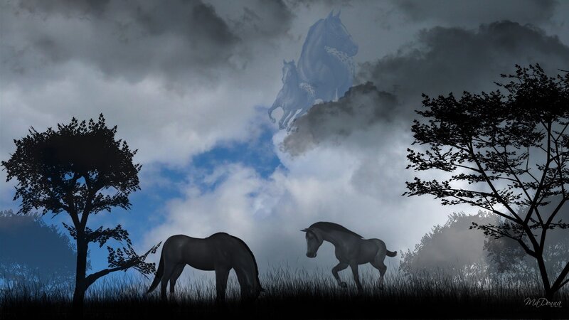 Horses in a misty field