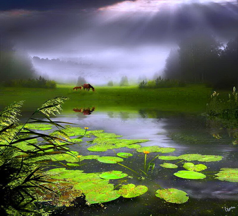 Horses in a Misty Field — Green