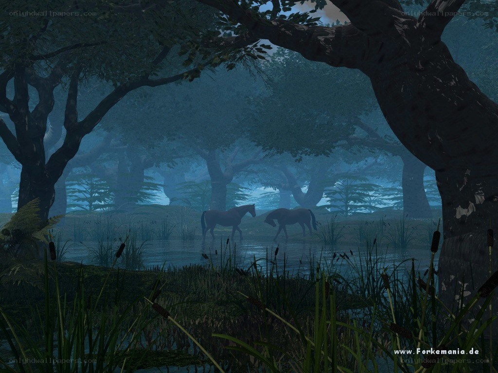 Horses in a misty forest