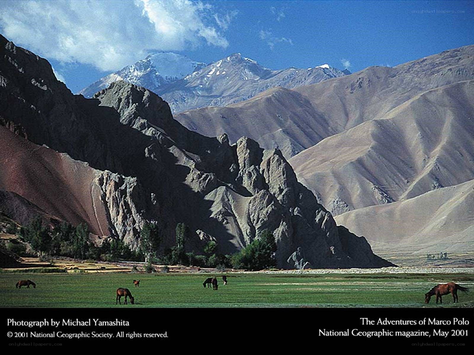 Horses in a mountain valley