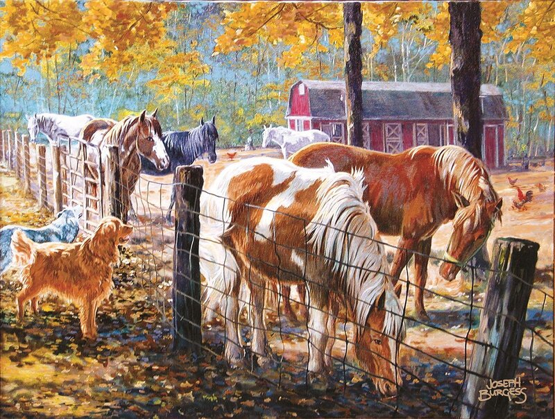 Horses in a Paddock — Yellow
