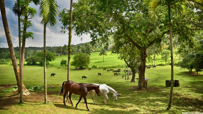 Horses in a Pasture — Green, Serene, Afternoon, Digital Art, Cows, Palm Trees