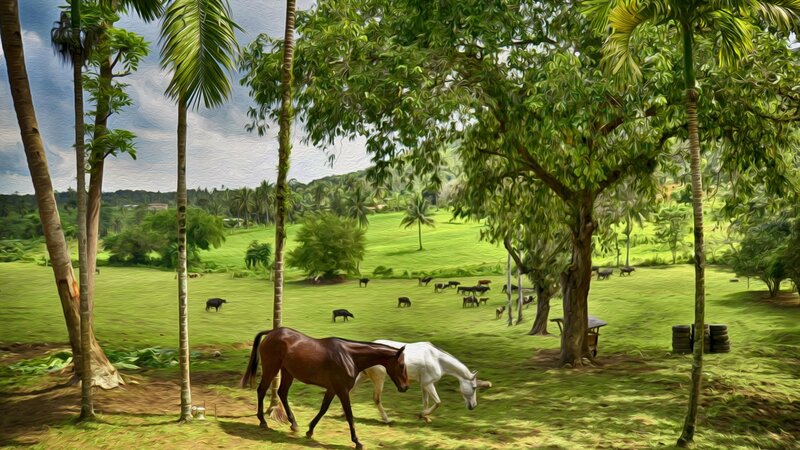 Horses in a Pasture — Green, Serene, Afternoon, Digital Art, Cows