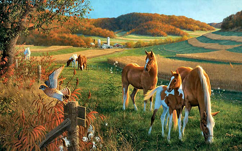 Horses in a Pasture — Green, Serene, Autumn
