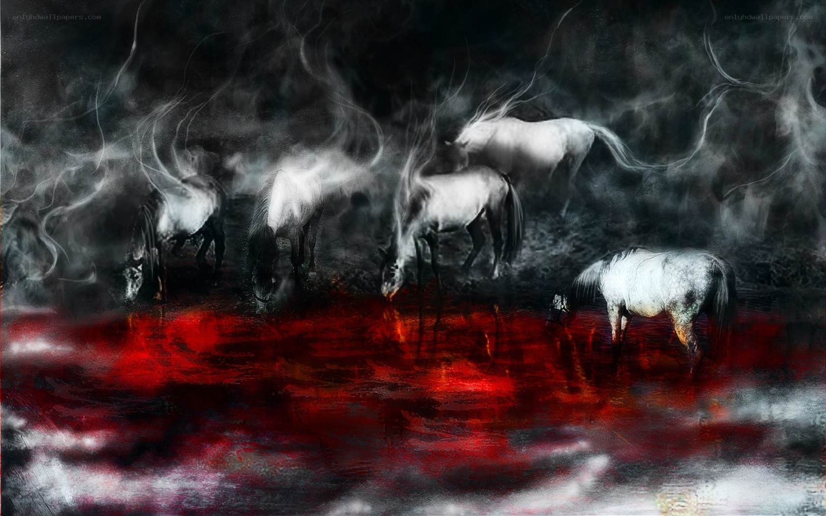 horses in a red mist