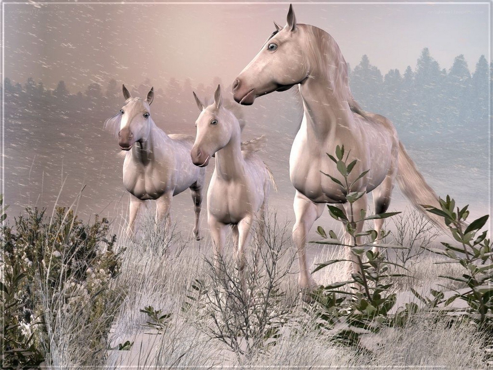Horses in a snowy field