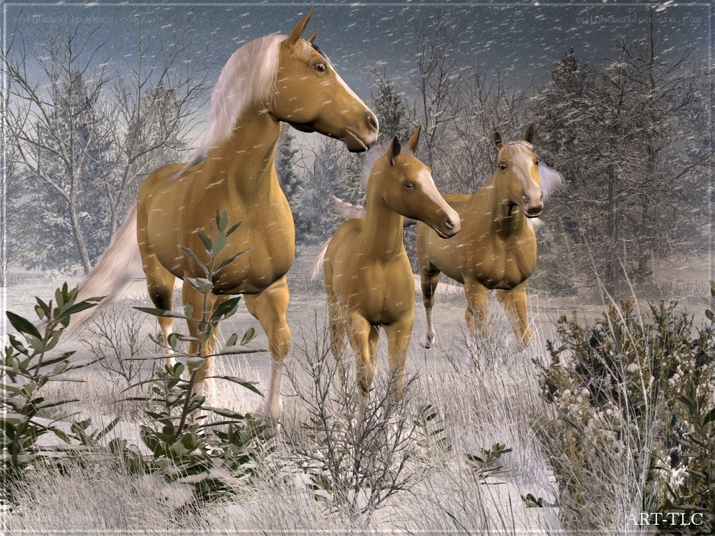 Horses in a snowy forest