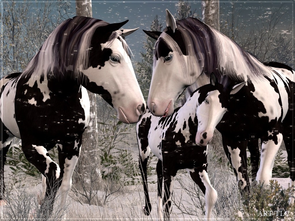 Horses in a snowy forest