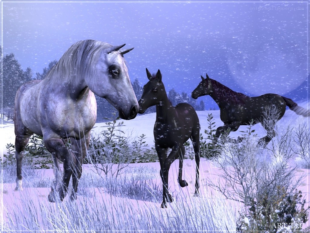Horses in a snowy landscape