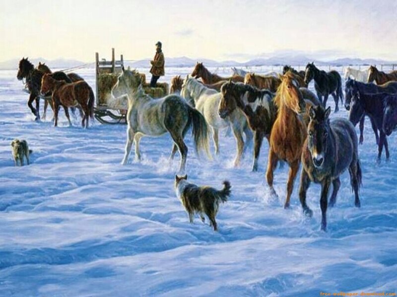 Horses in a snowy landscape