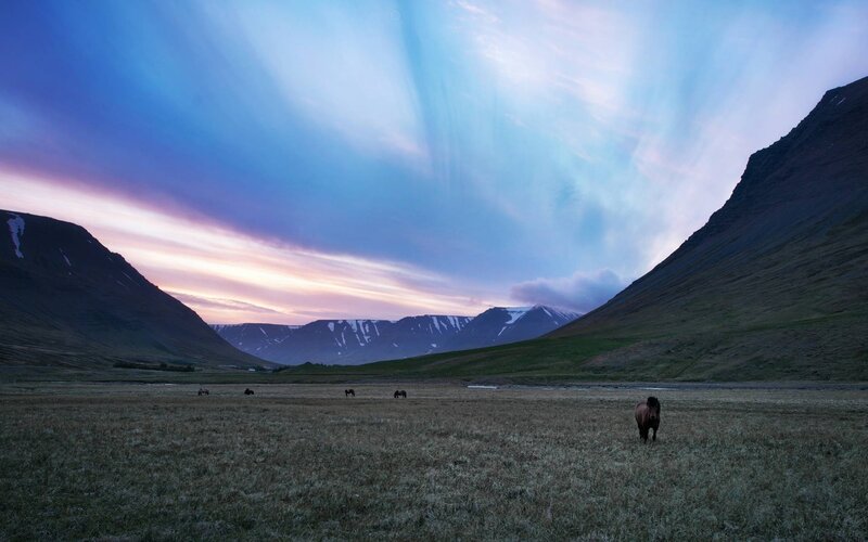 Horses in a Valley — Blue