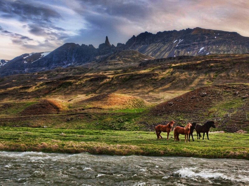 Horses in a Valley — Green, Dramatic