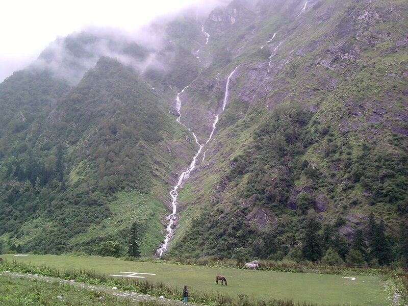 Horses in a Valley — Green