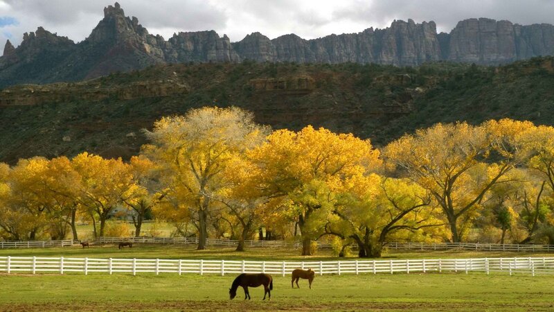 Horses in a valley with autumn trees