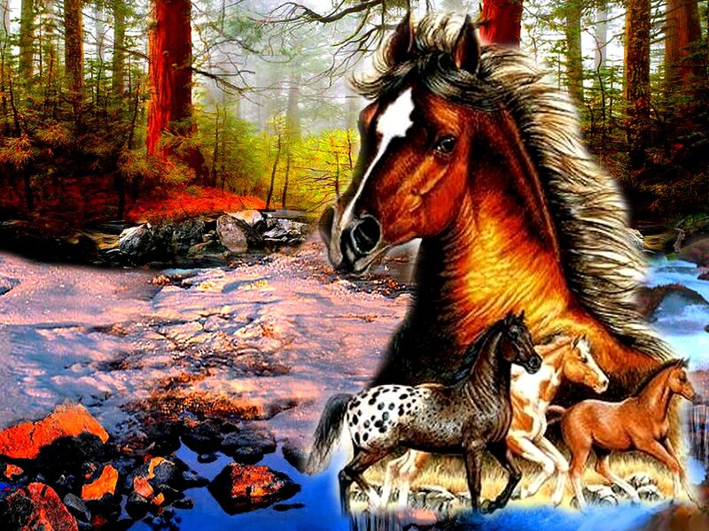 Horses in Forest