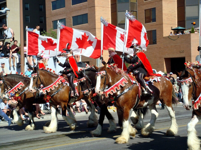Horses in Parade