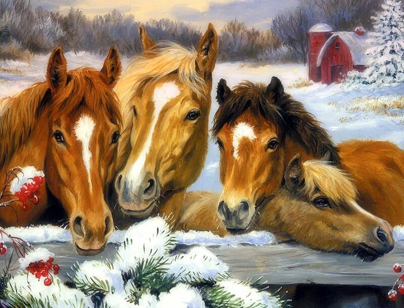 Horses in Snow — Brown, Peaceful