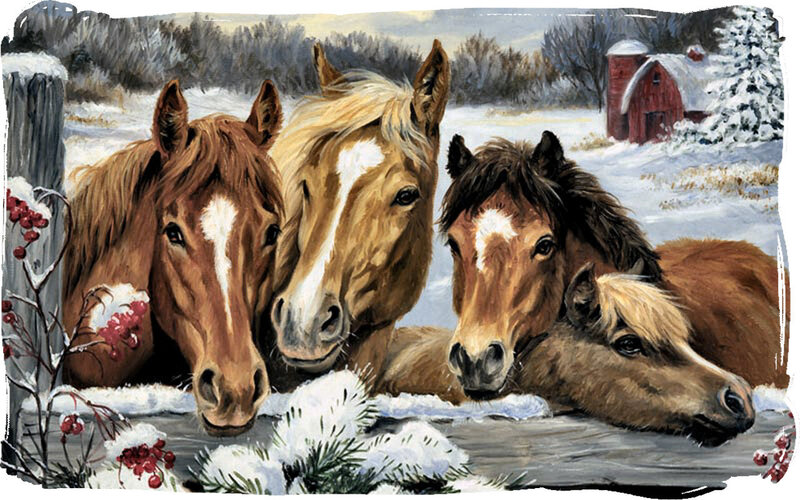 Horses in Snow — Brown