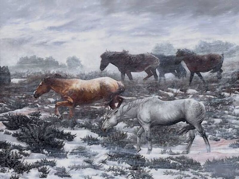 Horses in Snow — White, Dramatic