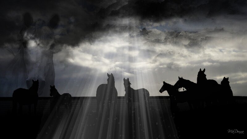 Horses in the light