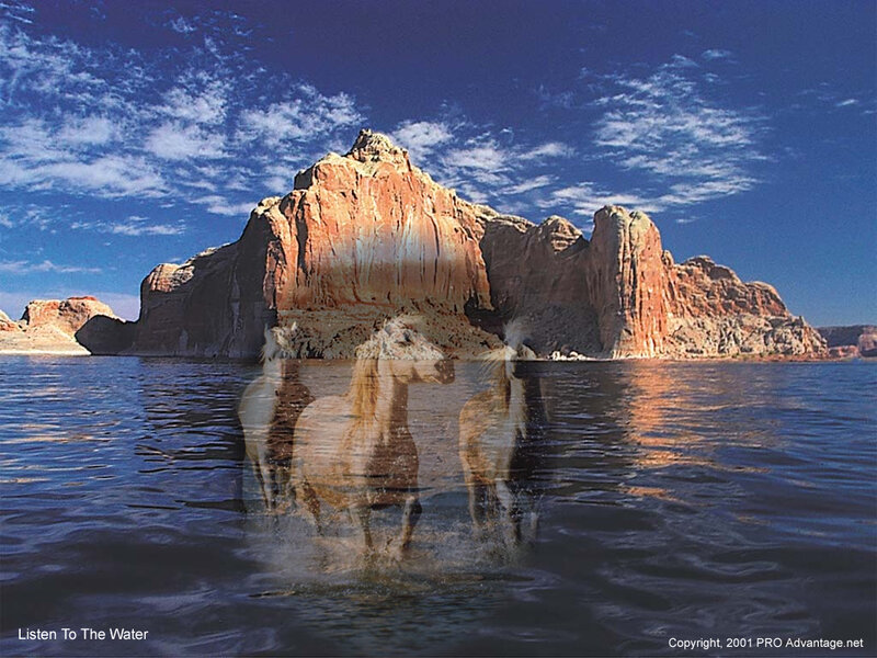 Horses in Water