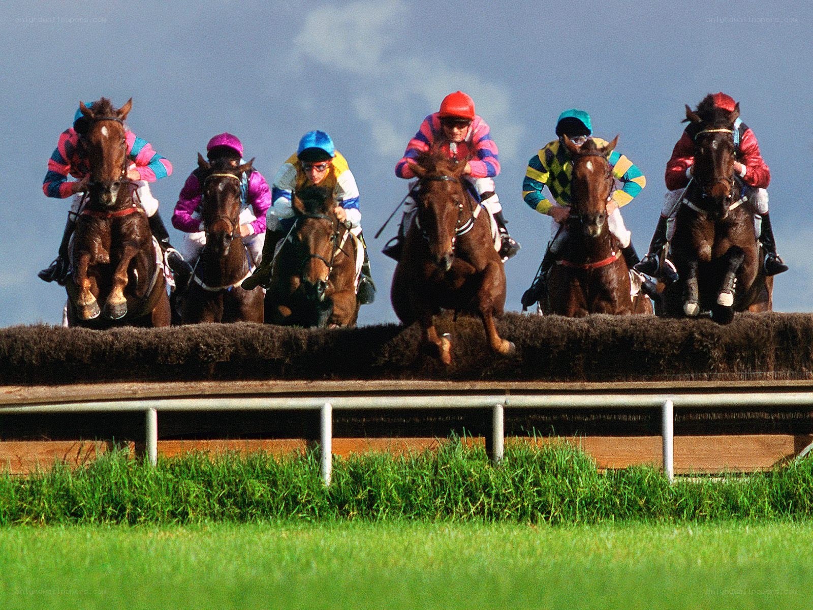 Horses jumping a hurdle