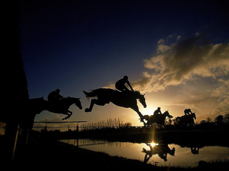 Horses jumping at sunset