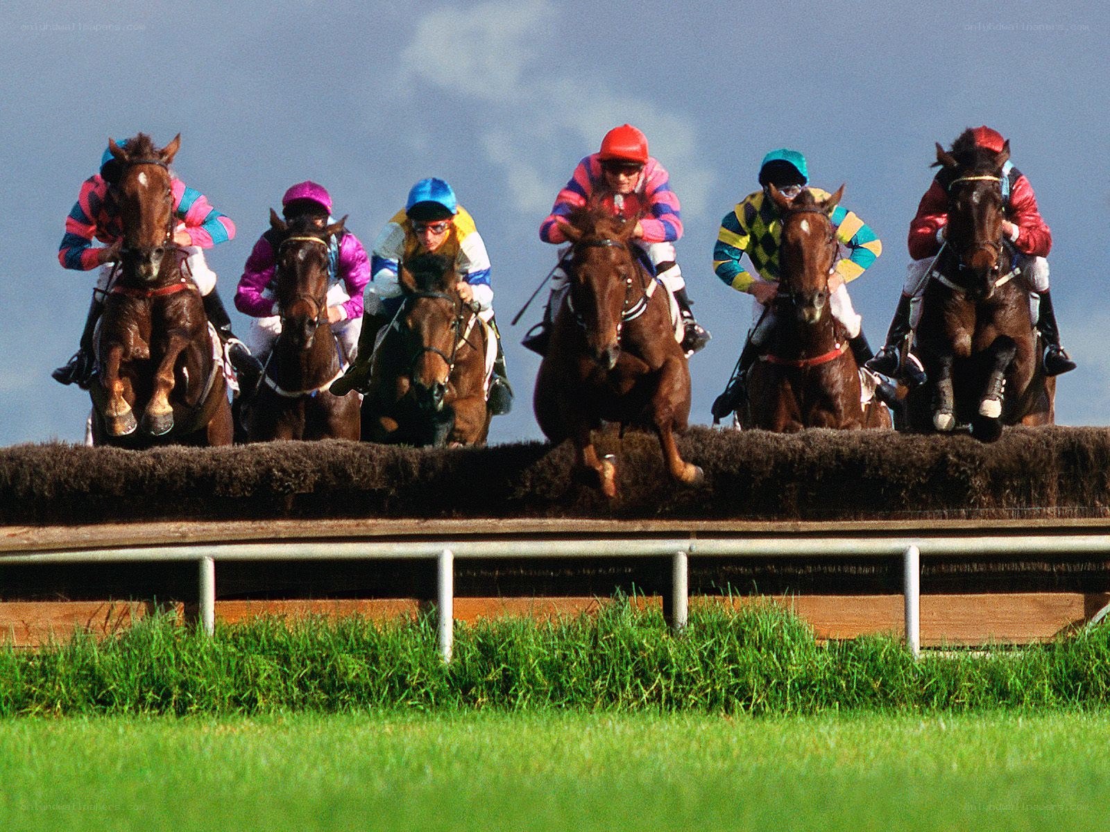 Horses jumping hurdle