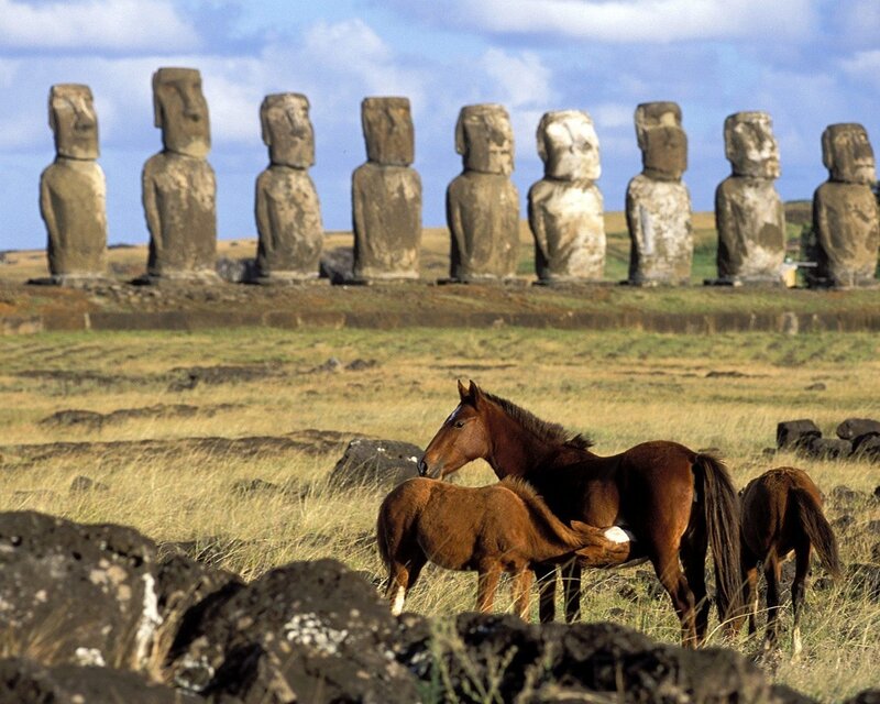 Horses Near Moai Statues — Brown, Serene